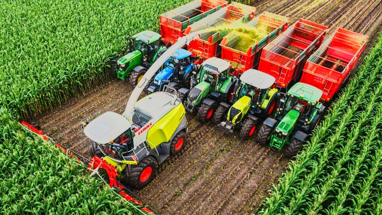 Какие виды техники используются для уборки овощей и фруктов