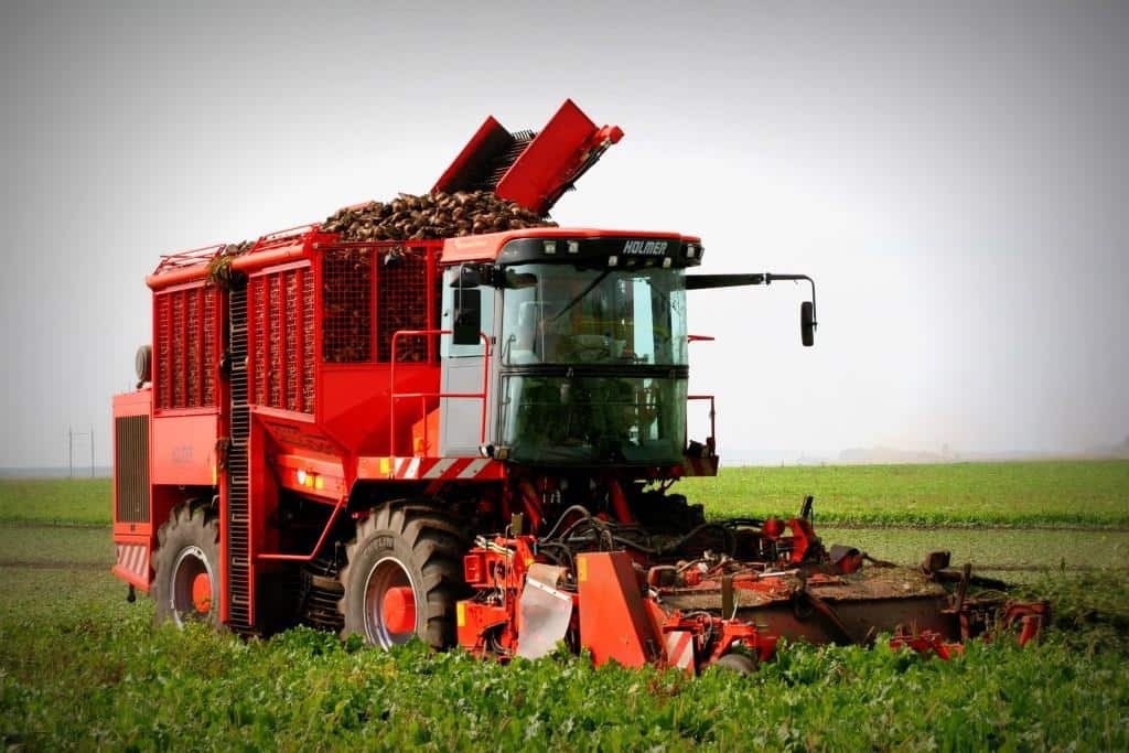 Аренда техники для уборки и обработки кормовых корнеплодов