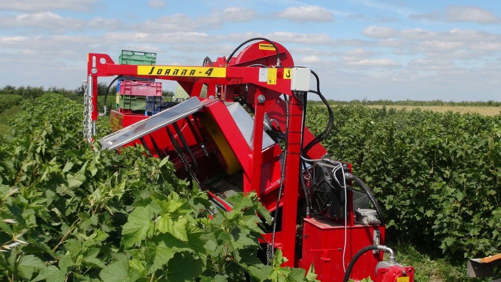 Какие виды техники используются для уборки и переработки ягодных культур?